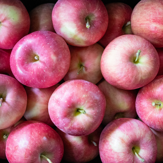 10【家庭用】サンふじ10キロ(28〜40玉)