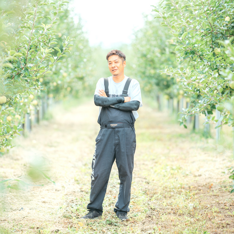 12【家庭用】サンふじ3キロ(6〜10玉)