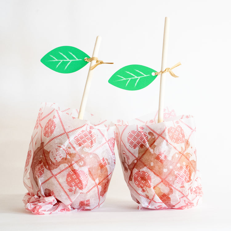 ふじさきまちのりんごあめ